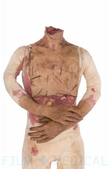 Synthetic Body  